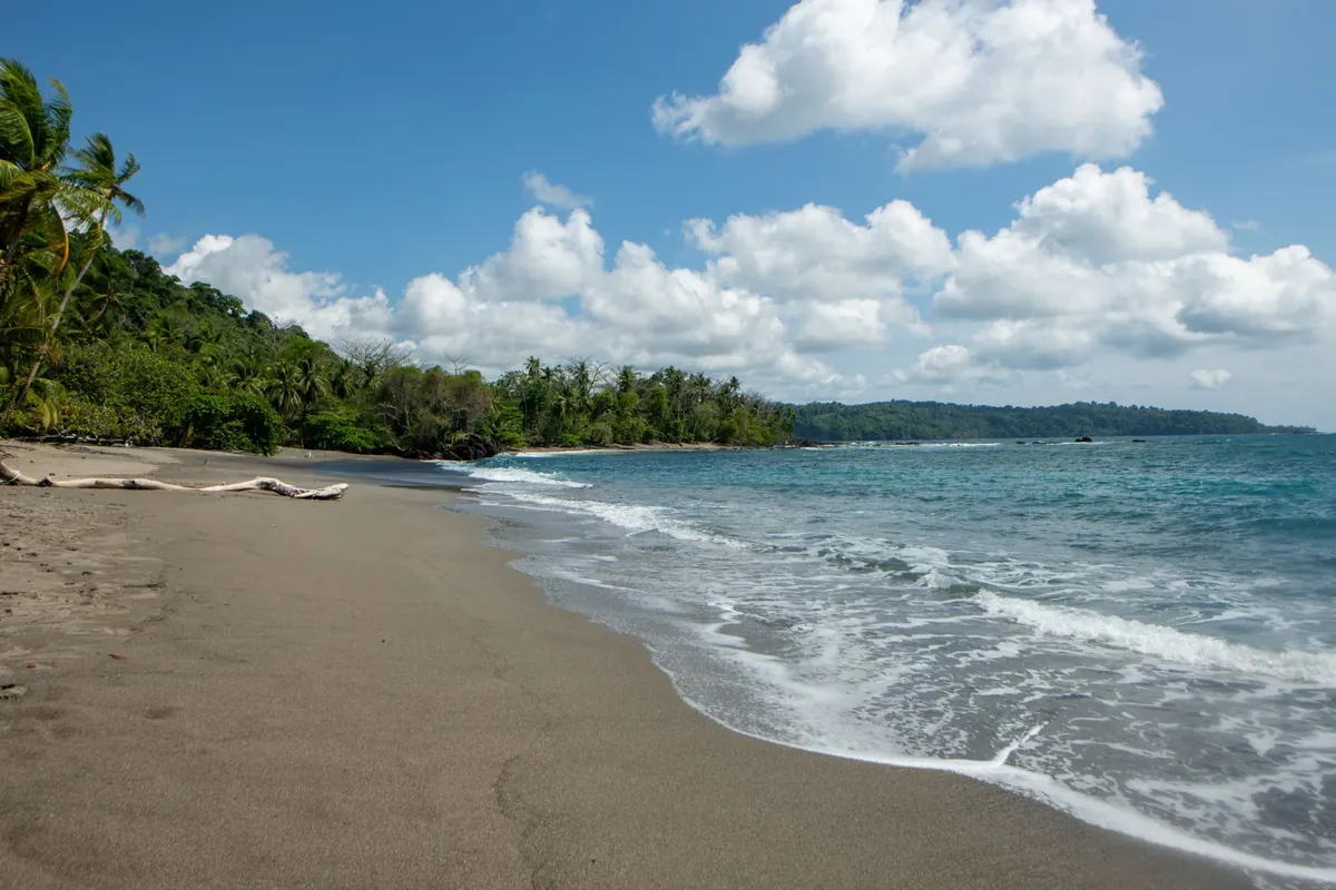 Eco-Friendly Island Stays: How to Compare Green Hotels, Guesthouses and Campsites